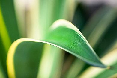 像素科幻动作游戏《月球武士》发布众筹预告